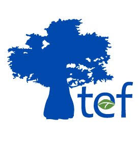 Tanzania Education Fund